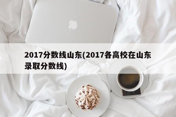 2017分数线山东(2017各高校在山东录取分数线)