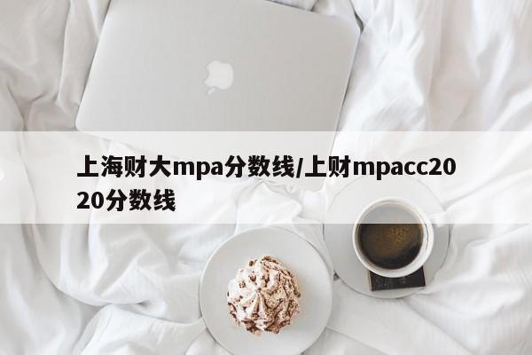 上海财大mpa分数线/上财mpacc2020分数线