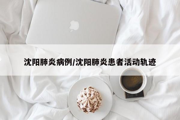 沈阳肺炎病例/沈阳肺炎患者活动轨迹