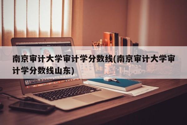 南京审计大学审计学分数线(南京审计大学审计学分数线山东)