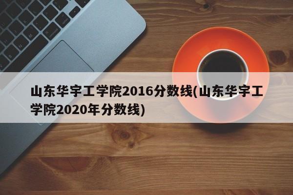 山东华宇工学院2016分数线(山东华宇工学院2020年分数线)