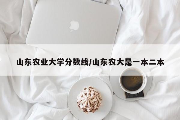 山东农业大学分数线/山东农大是一本二本
